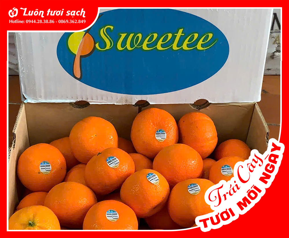 Nguyên Thùng Quýt Úc 9kg